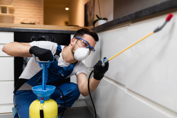 Best Pest Prevention Services  in Peabody, KS