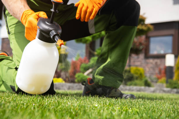 Best Flea Control Services  in Peabody, KS