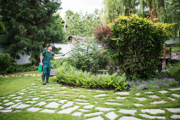 Best Pest Control for Homes  in Peabody, KS