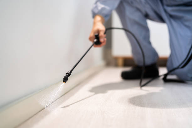 Pest Control Cost in Peabody, KS