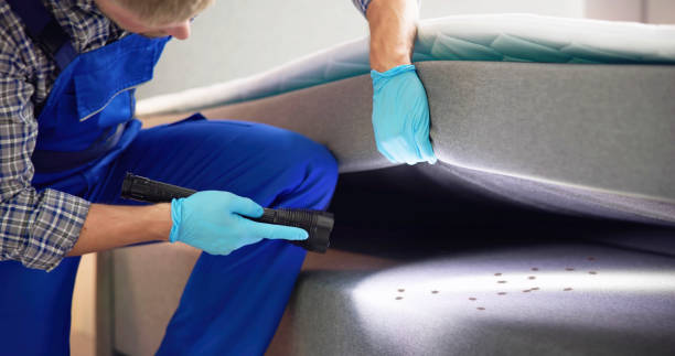 Best Residential Pest Control  in Peabody, KS