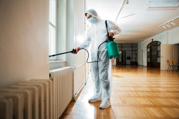 Best Affordable Pest Control Services  in Peabody, KS